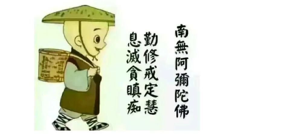 人的天性是贪嗔痴和戒定慧的等量叠加态