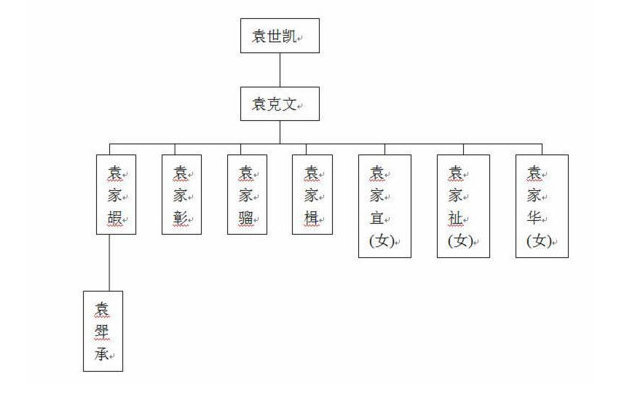 袁世凯曾孙是如何成为新中国上将的?《林海雪原》还原了一切!