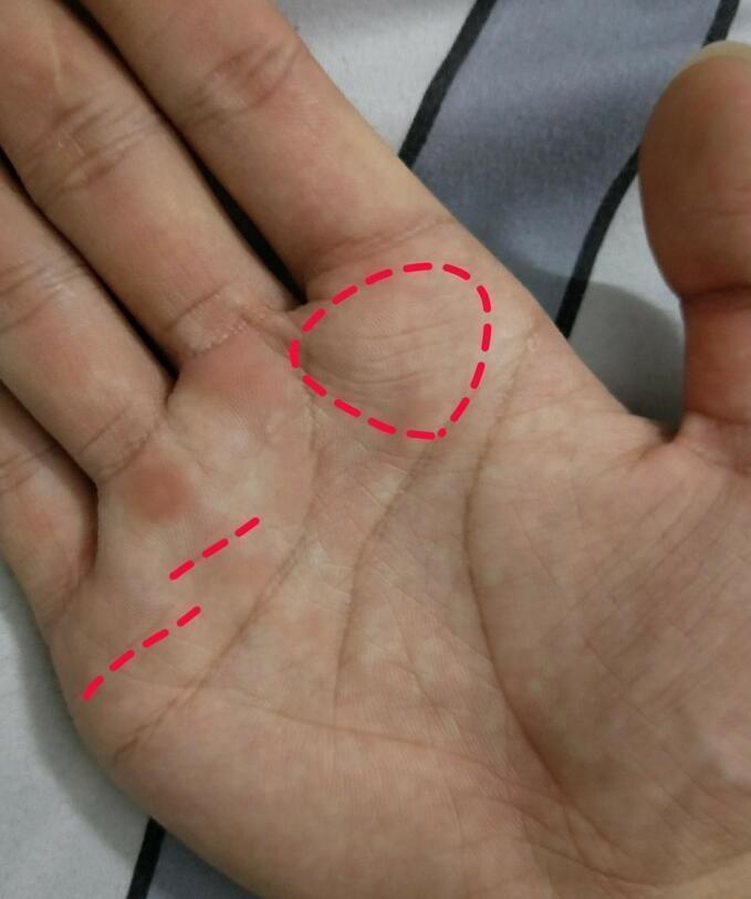 手相四指不见缝,注定富贵到老,福泽深厚