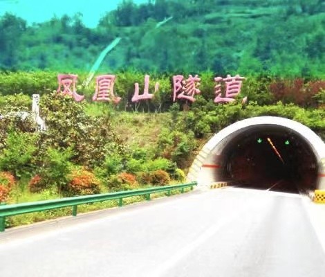 今日高速公路穿过凤凰山隧道差不多就到蒿坪了