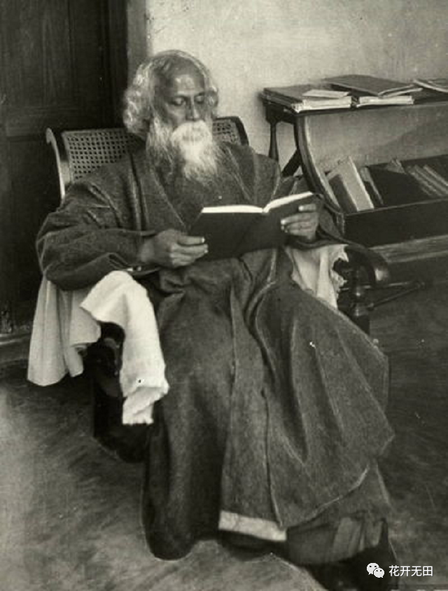 1924年泰戈尔访华,鲁迅却在宴会中拂袖而去,直言:一塌