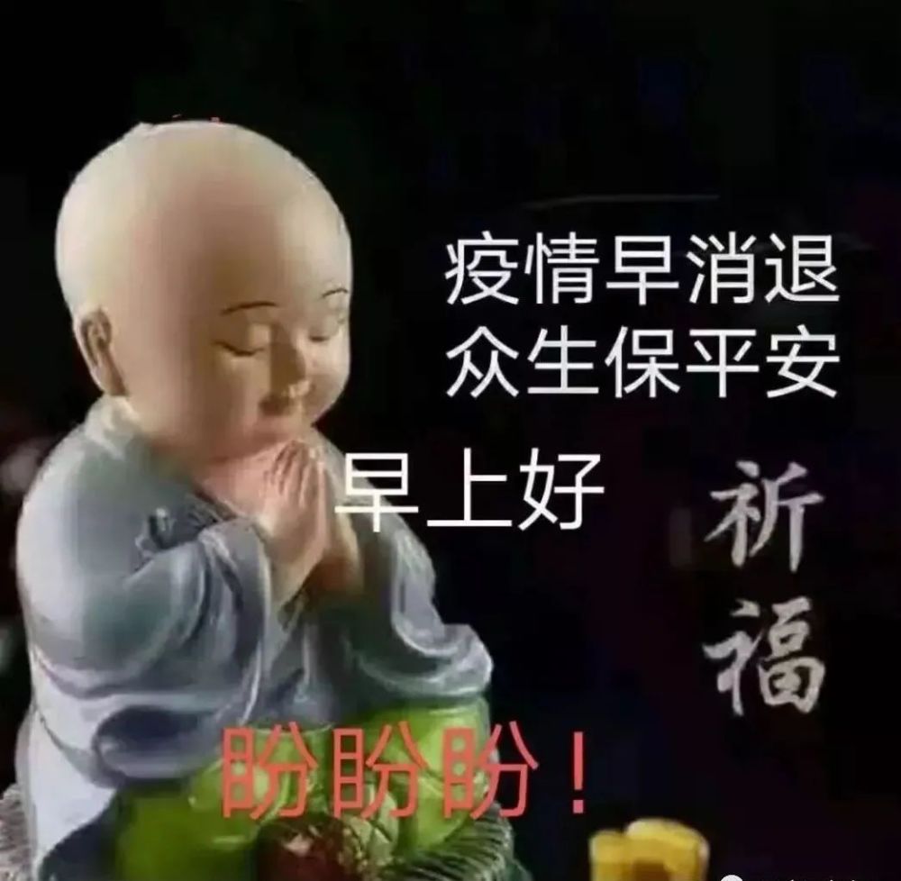 8张温馨暖心重阳节早安图片表情包唯美问候祝福语精选