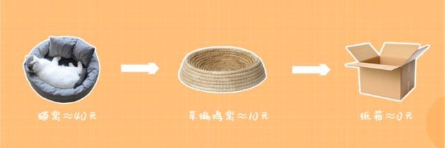 大部分猫咪都不爱睡猫窝鸡窝几块1个,猫咪不爱就算了当然纸箱更便宜