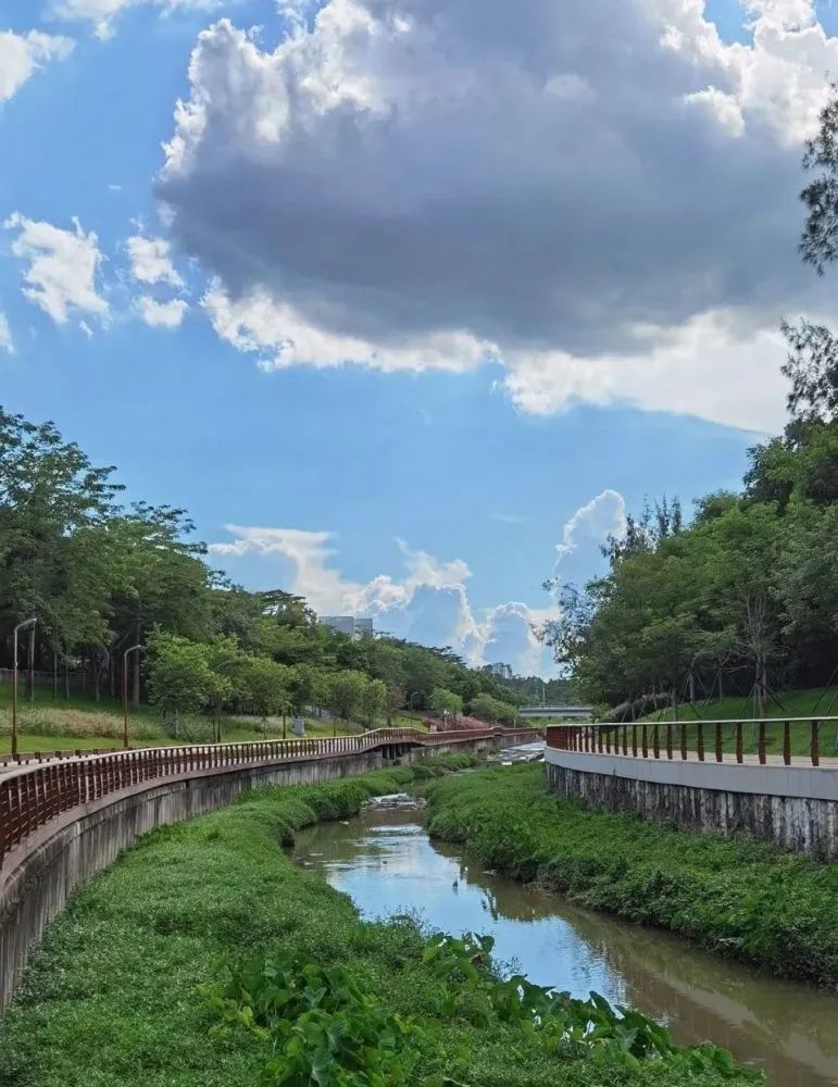 大沙河上游穿过大学城区哈工大深圳,南科大等高校云集文化氛围浓厚