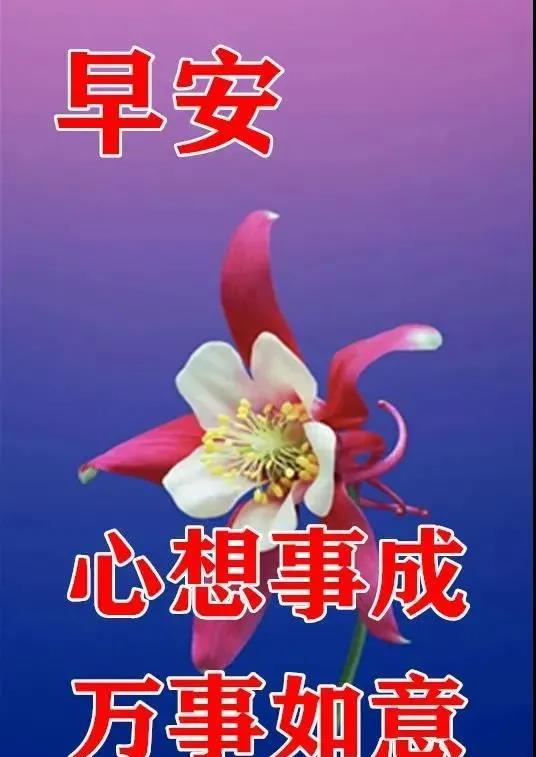 7月21日周三最新早上好问候动态表情图片 早安图片