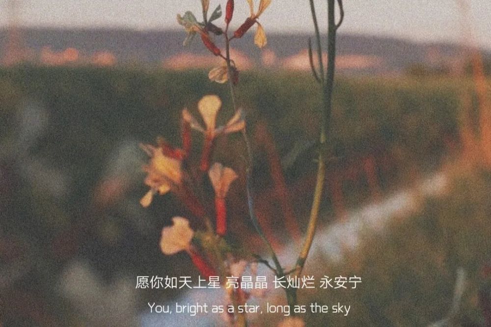 07||超可的朋友圈文案配图