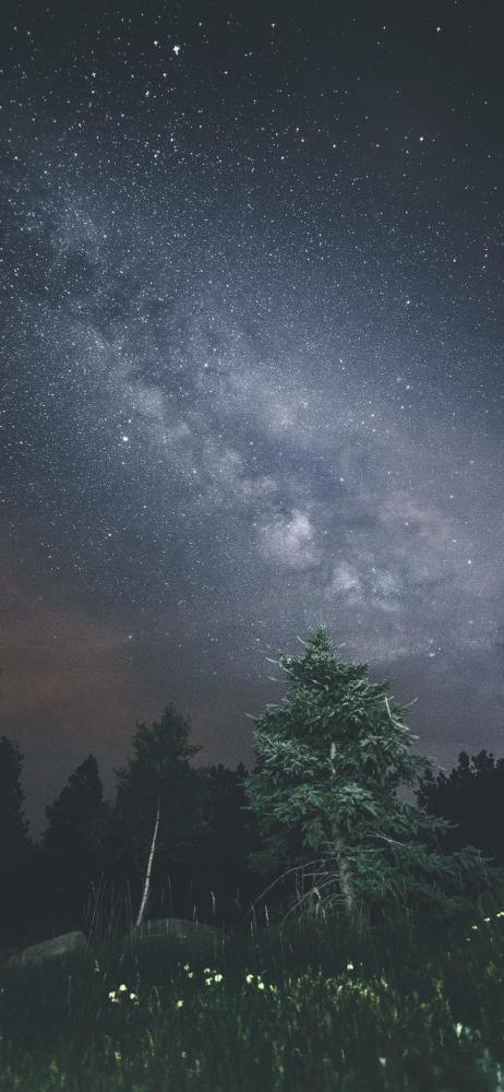 手机桌面背景图·忙里偷闲的日与月