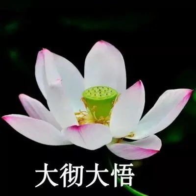 头像老人微信头像适合父母长辈专用头像图片第288期