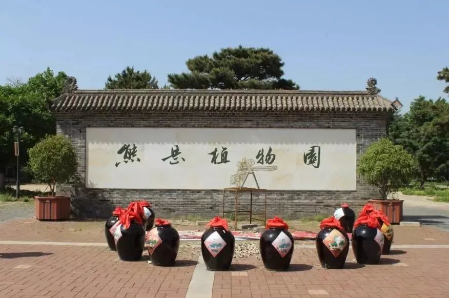 植物园怎么走（仙湖植物园怎么走）