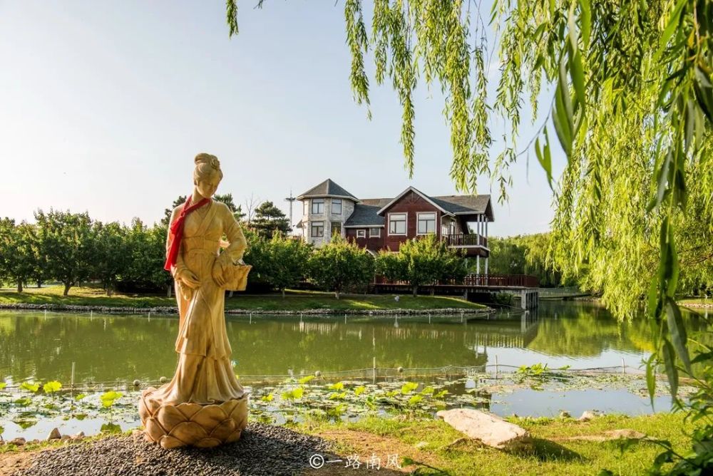 植物园怎么走（仙湖植物园怎么走）