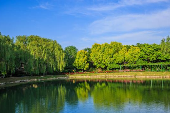 植物园怎么走（仙湖植物园怎么走）