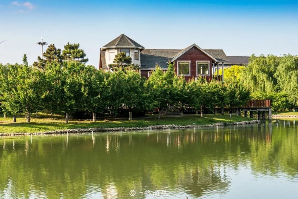 植物园怎么走（仙湖植物园怎么走）