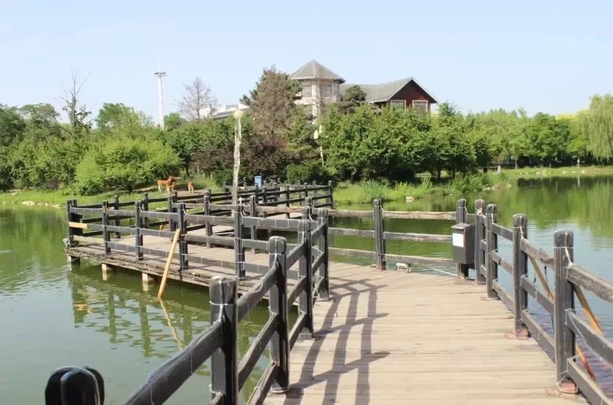 植物园怎么走（仙湖植物园怎么走）