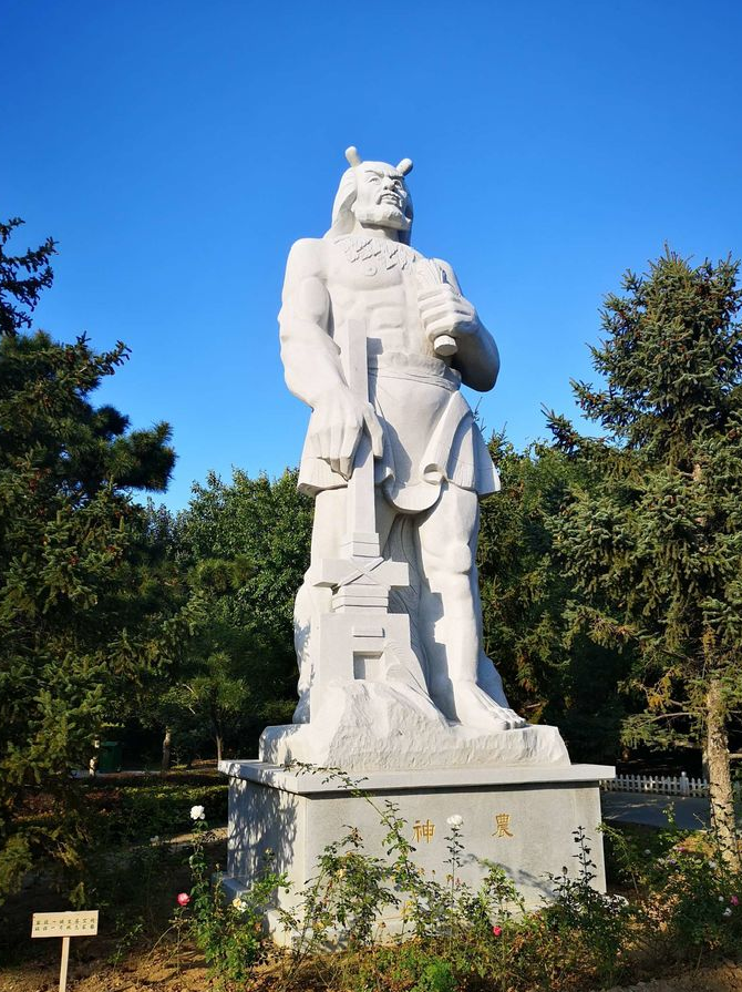 植物园怎么走（仙湖植物园怎么走）