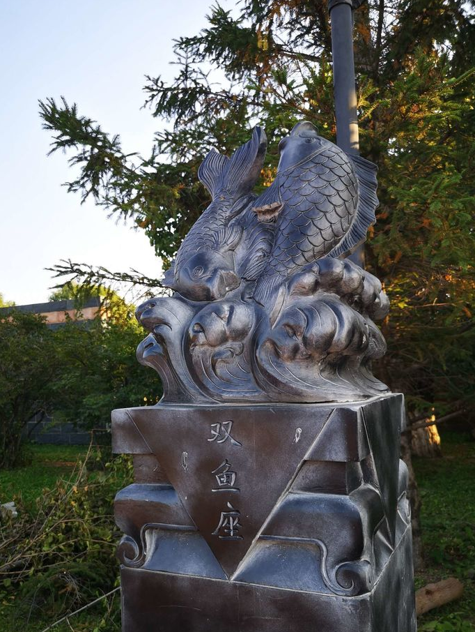 植物园怎么走（仙湖植物园怎么走）