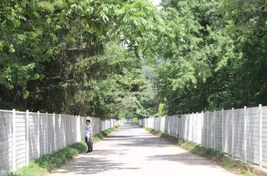 植物园怎么走（仙湖植物园怎么走）