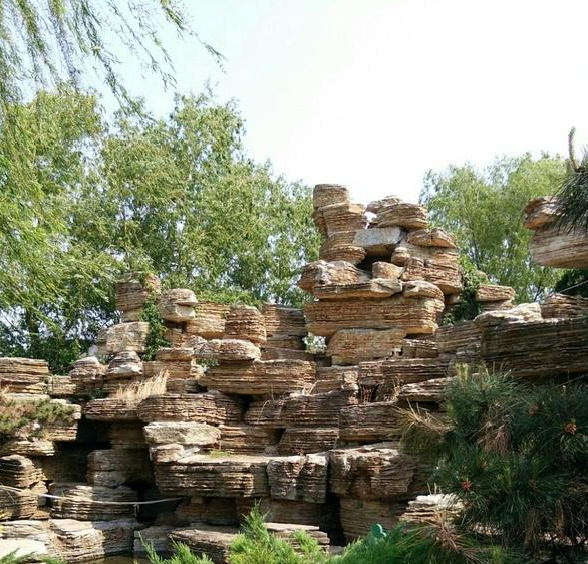 植物园怎么走（仙湖植物园怎么走）