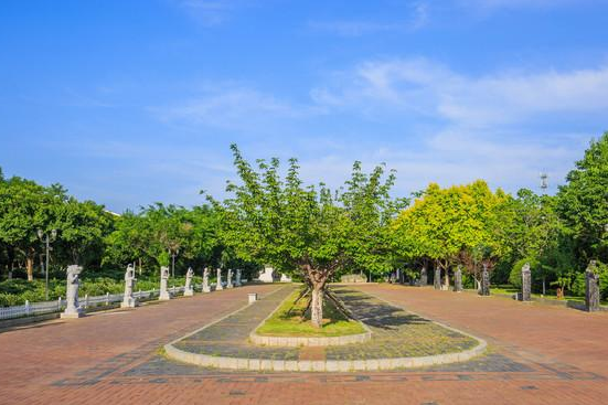 植物园怎么走（仙湖植物园怎么走）