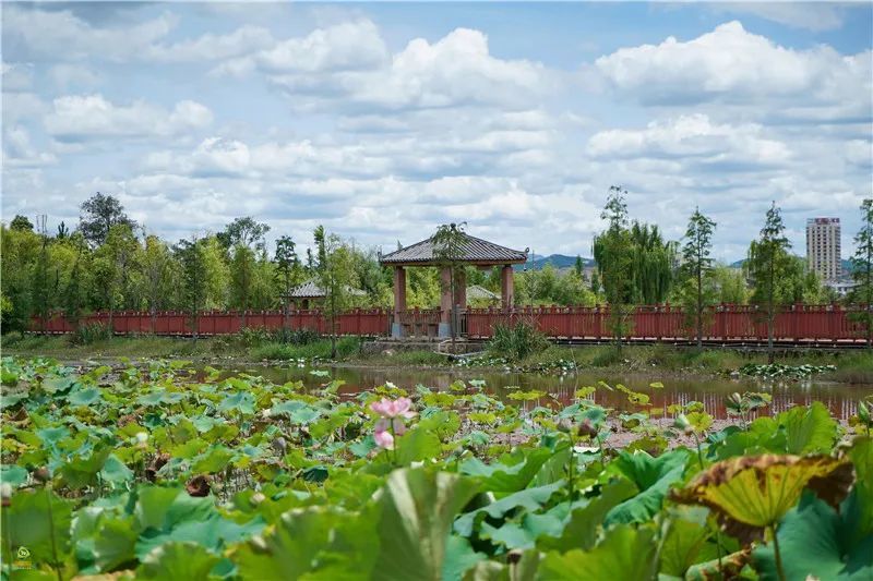 两旗海湿地公园位于楚雄彝族自治州南华县城北部,公园以中央湖区水体