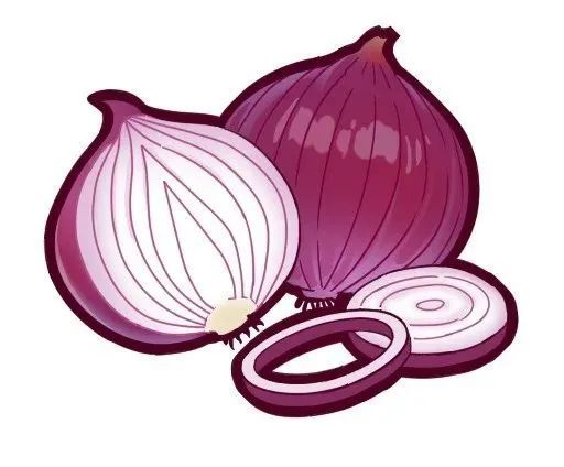 "onion"(洋葱)来自于拉丁词"unio",意思是大珍珠.