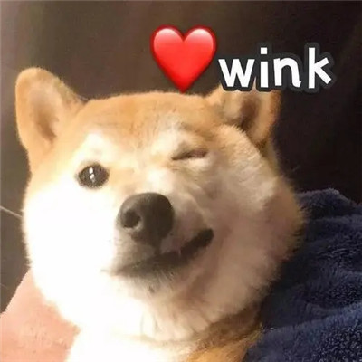 狗狗们的wink搞怪可爱头像你心动了没
