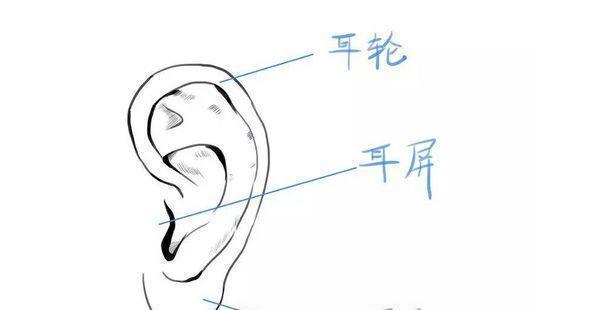 从耳朵看命运:有这种特征的人,是天生的富贵命,早晚富