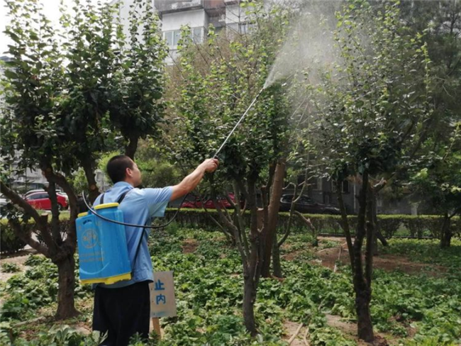 暴雨过后园林植物养护十大关键措施