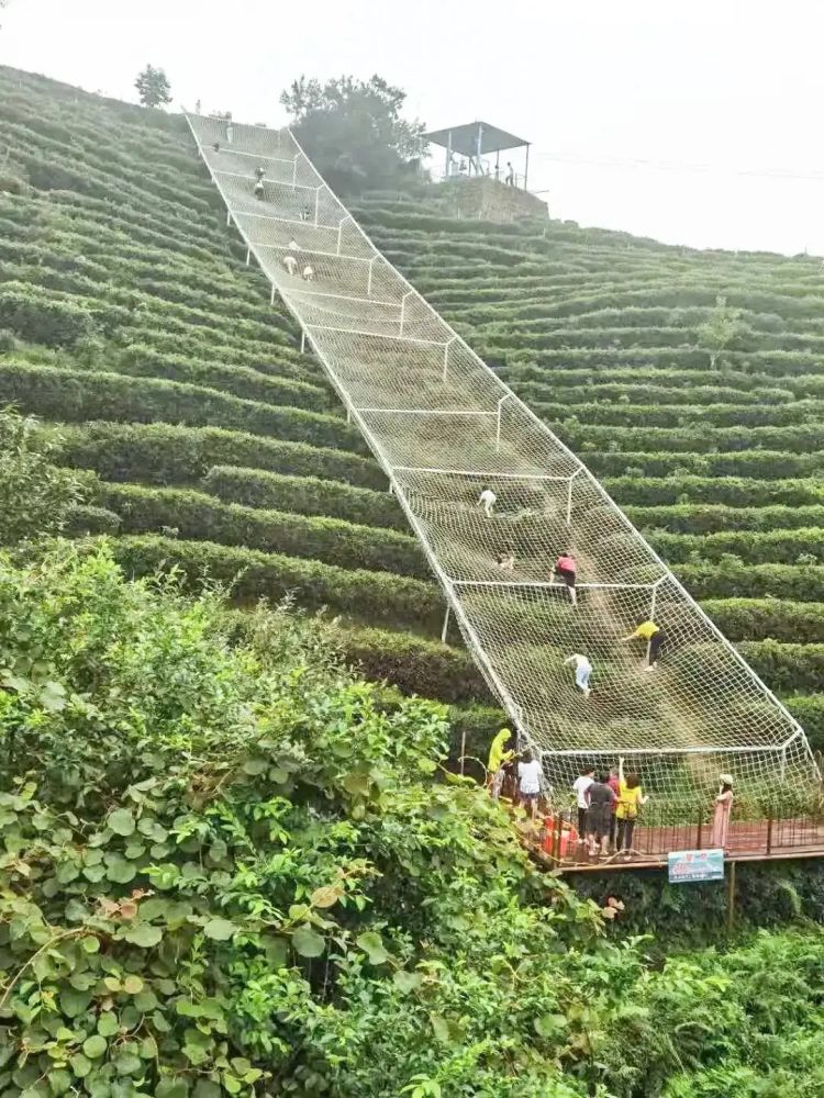 上周末不少景区迎来了一波波游客 ▲黑麋峰国家森林公园景区 在黑麋峰