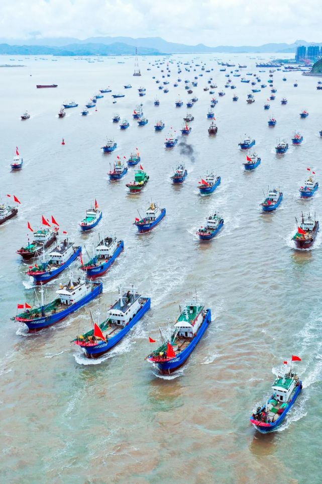 它是浙江海域面积最大,陆域面积最小的县,也是中国东海的渔场中心!