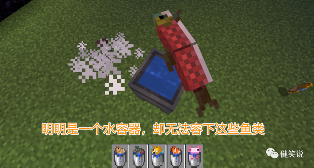 我的世界:游戏中自相矛盾的事情,是官方的小心思?玩家