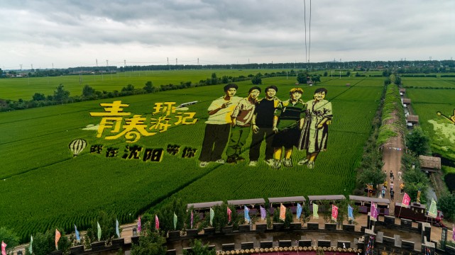 2021年8月12日,雨后的沈阳稻梦空间景色更加别致,市民和游人纷纷来到