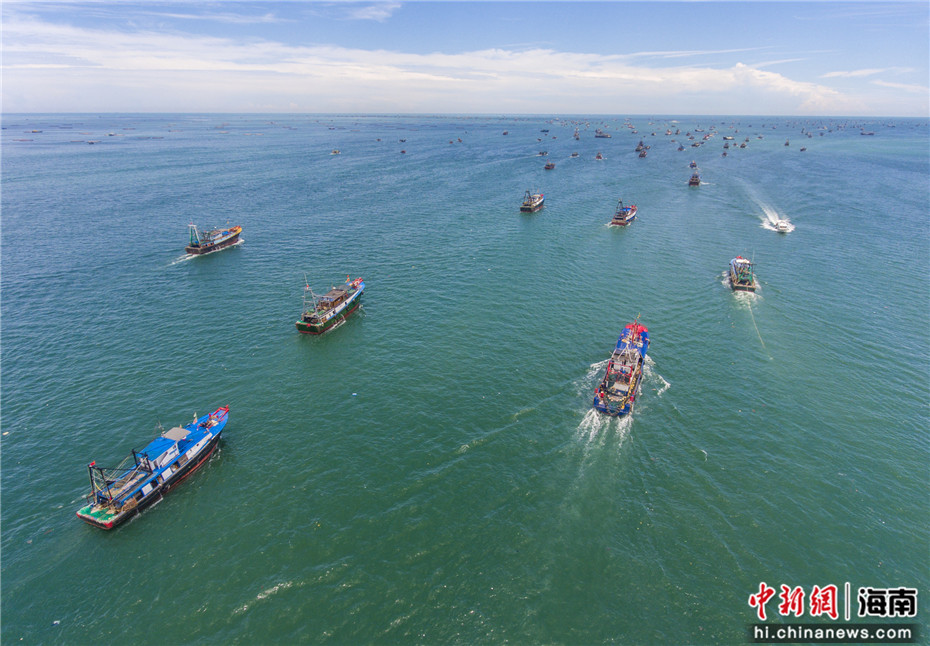 图为航拍海南临高新盈港,约1200艘渔船驶向大海作业.骆云飞摄