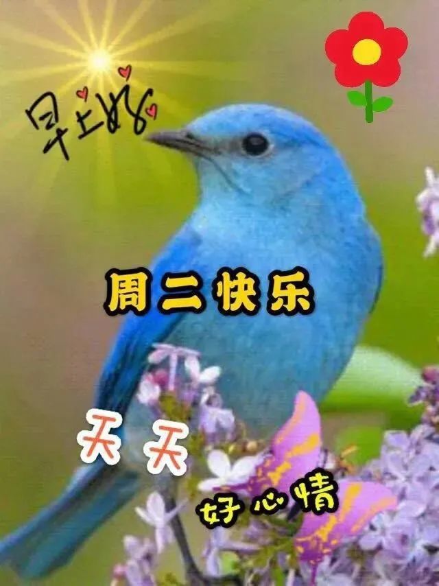 2022年1月11日星期二漂亮早上好问候动态表情图片带字周二最美早安