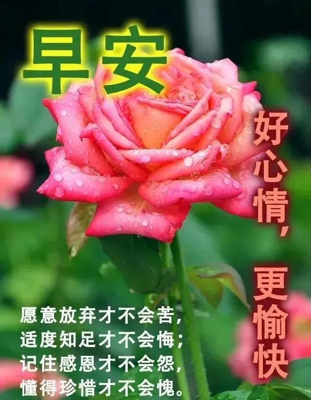 早上好祝福问候图片,美好的一天开始了!