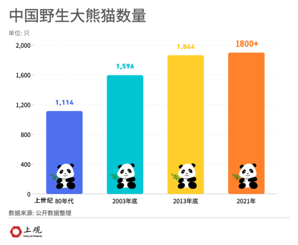 可能我们都猜不到 中国野生大熊猫的确切数量:1864只