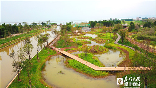 宝丰半岛湿地风景如画