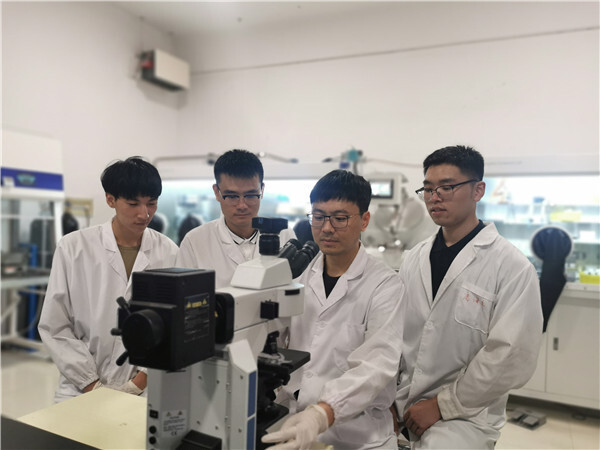 青科大邢军教授课题组在nature子刊发表高水平研究论文