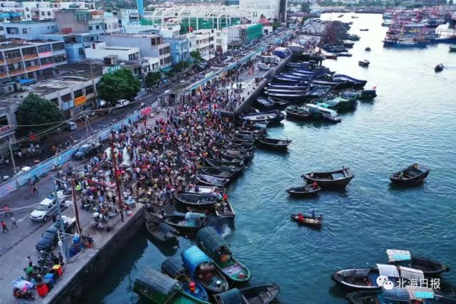 北海开海首日,他们在码头蹲守到了第一波海鲜!