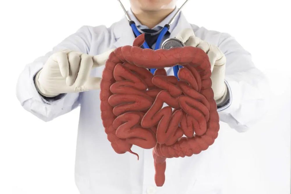 发现肠息肉,会癌变吗?一定要手术切除吗?医生的答案来