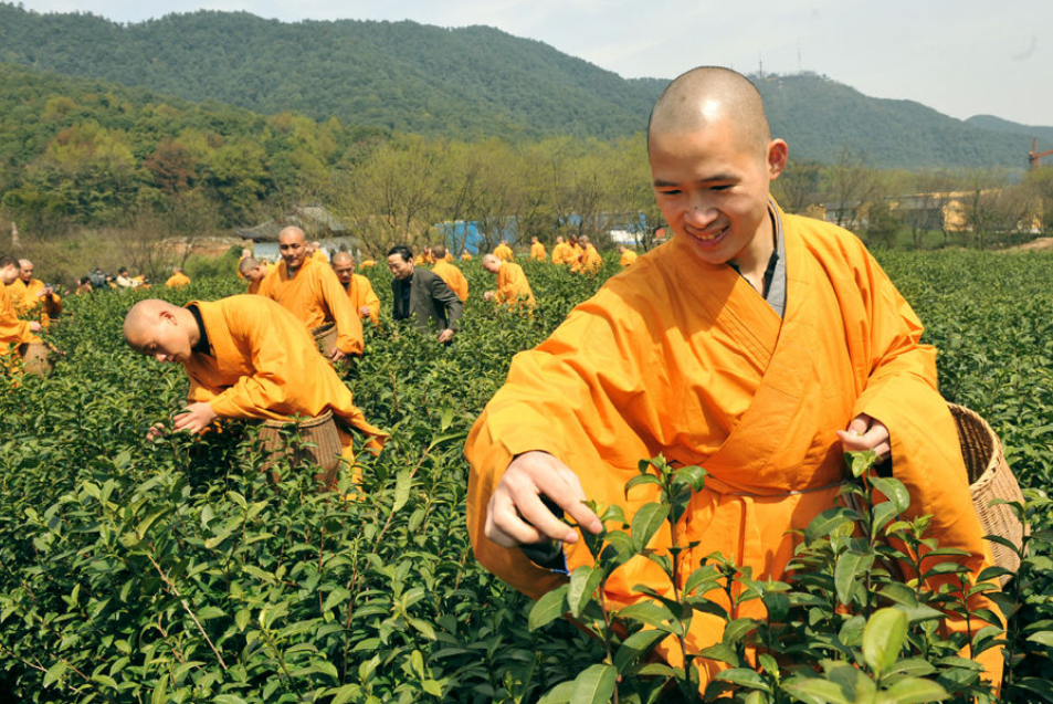 七碗受至味,一壶得真趣——剖析茶道文化内涵,体会紫砂壶之韵味