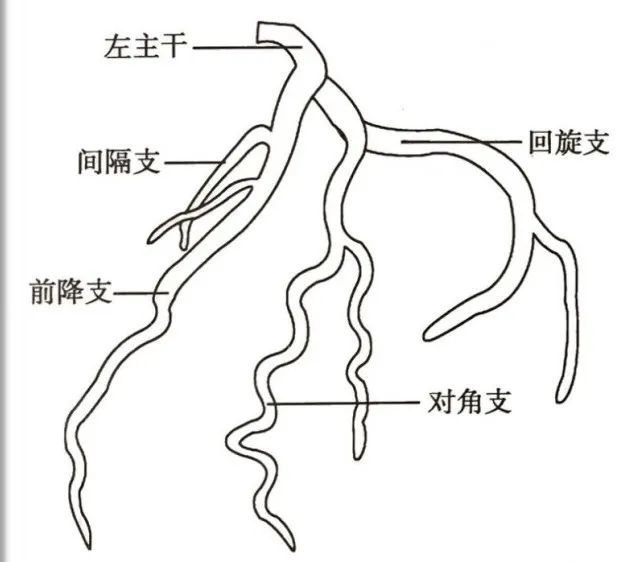 45°   足 20°(lao 45°   cau 20°),主要显示左主干,前降支及回旋