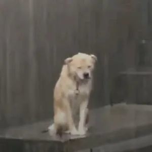 新台风即将生成!安溪未来天气