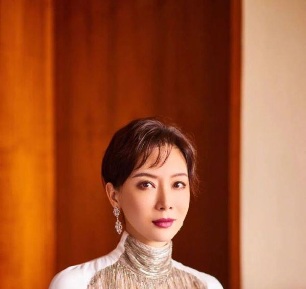 她是陈数老公前妻陈数为她的儿子甘做丁克她打拼事业做女强人