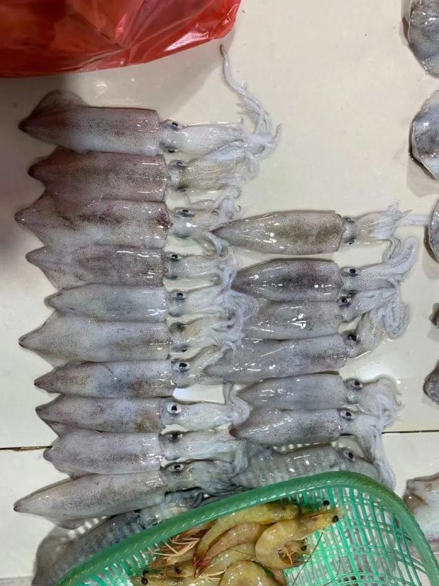 鱿鱼看上去很是新鲜漂亮,按照大小,品质的不同价格为35元一斤,40元