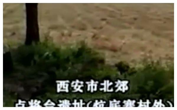 被毒枭奉为座上宾的悍匪魏振海,持手榴弹炸民警,至死都不认罪