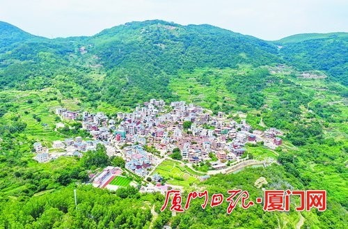 在翔安区内厝镇妙高山,安静美丽的锄山村藏身其中.