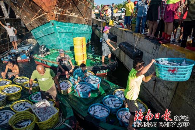 2021年8月17日,琼海潭门港的渔民在码头卸载海鱼.