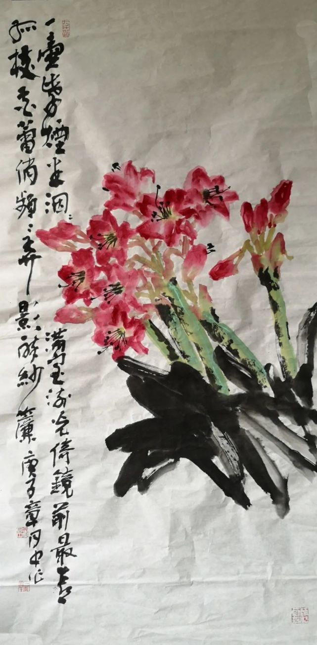 朱顶红 136x68cm