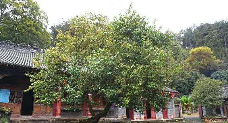 流传最久的"汉中老八景",你知道多少?
