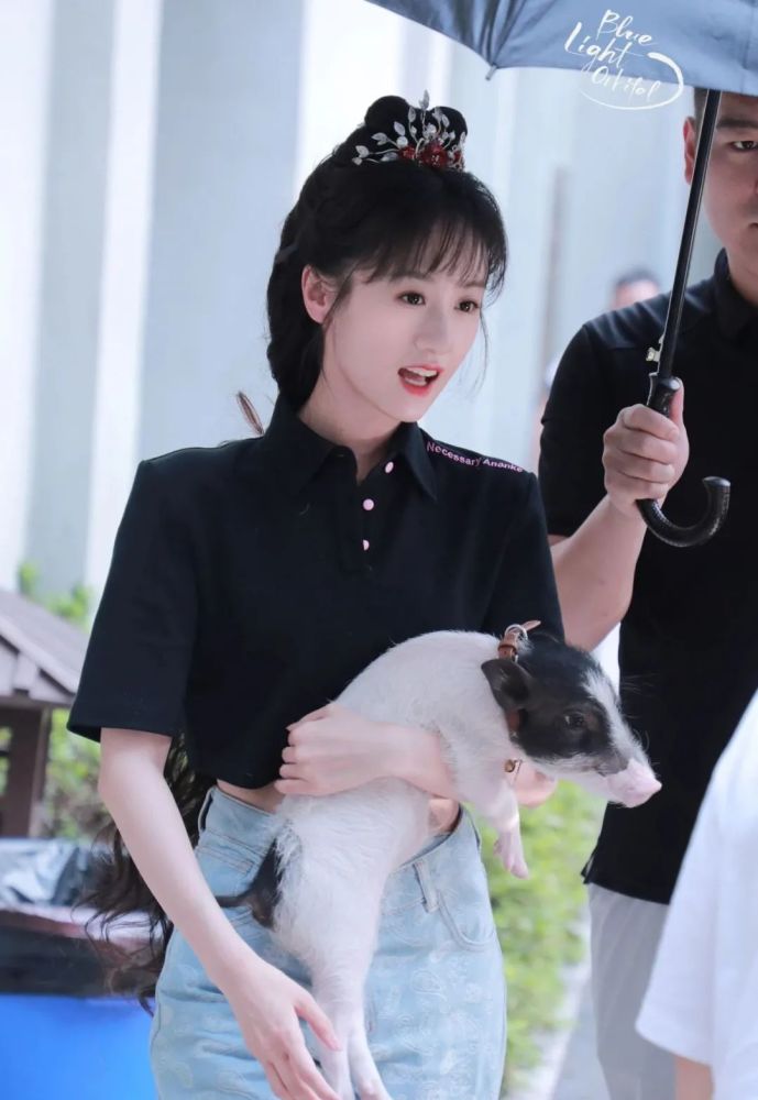 靠古装成名的袁冰妍,动用十几个助理寻找宠物猪,与路人发生争执